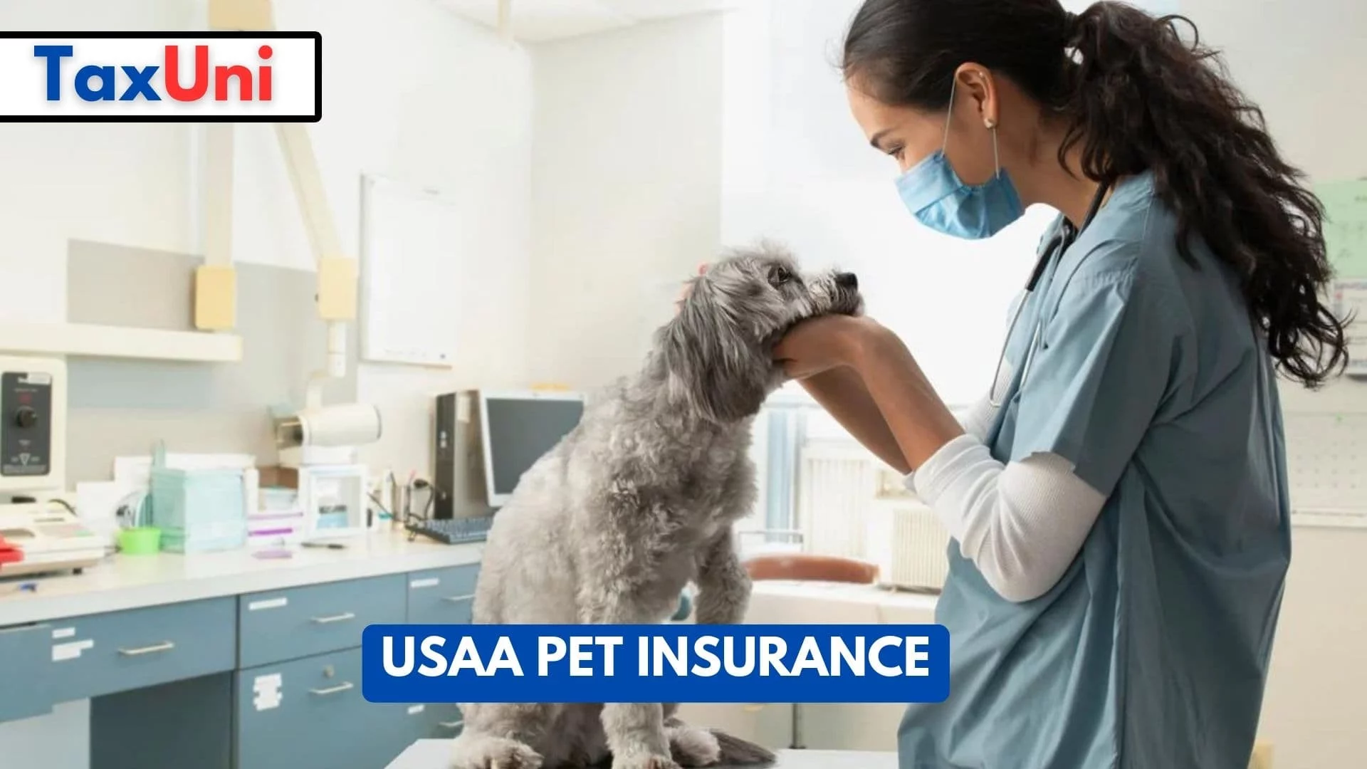 Estimate Pet Insurance